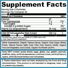Load image into Gallery viewer, Goli Nutrition Ashwagandha Gummies 60 Gummies
