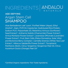 Load image into Gallery viewer, Andalou Naturals Shampoo Age Defying For Thinning Hai, Argan Stem Cell 11.5 fl oz (340 ml)