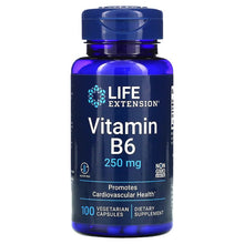 Load image into Gallery viewer, Life Extension Vitamin B6 250 mg