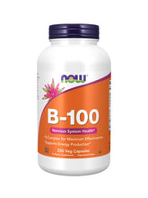 Load image into Gallery viewer, NOW Foods Vitamin B-100