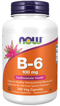 Load image into Gallery viewer, NOW Foods Vitamin B-6 100 mg
