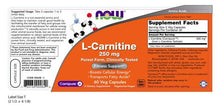 Load image into Gallery viewer, NOW Foods L-Carnitine 250 mg
